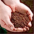 soil in hands